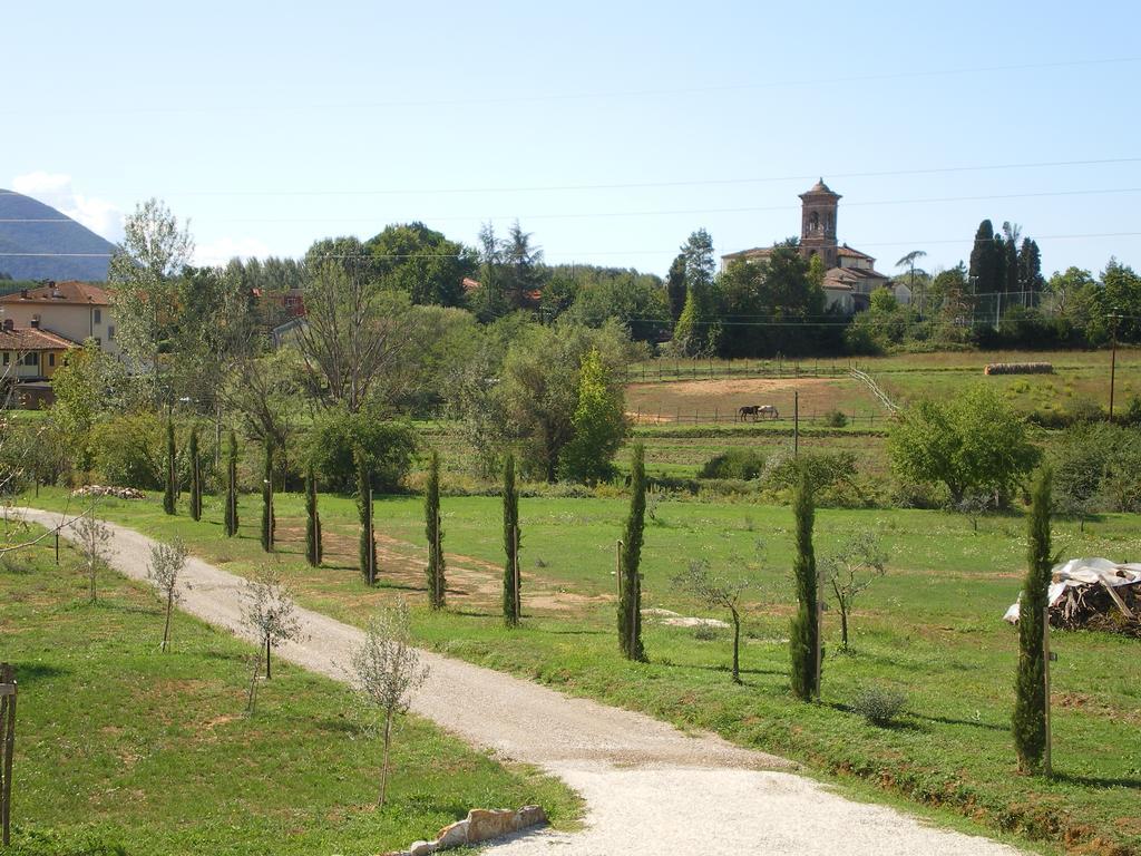 Agriturismo Ai Linchi Лукка Екстер'єр фото